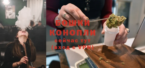 ПСИЛОЦИБИНОВЫЕ ГРИБЫ Лагань