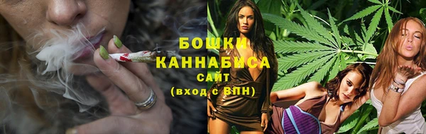 ПСИЛОЦИБИНОВЫЕ ГРИБЫ Лагань