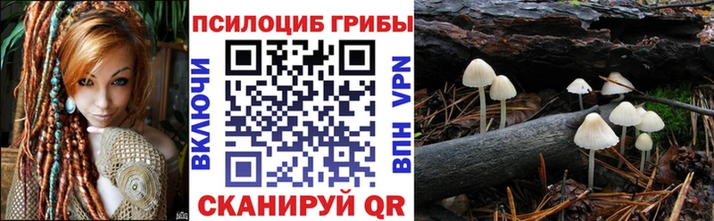 Галлюциногенные грибы GOLDEN TEACHER Лысково